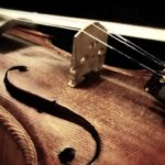 General String Instrument Care and Maintenance