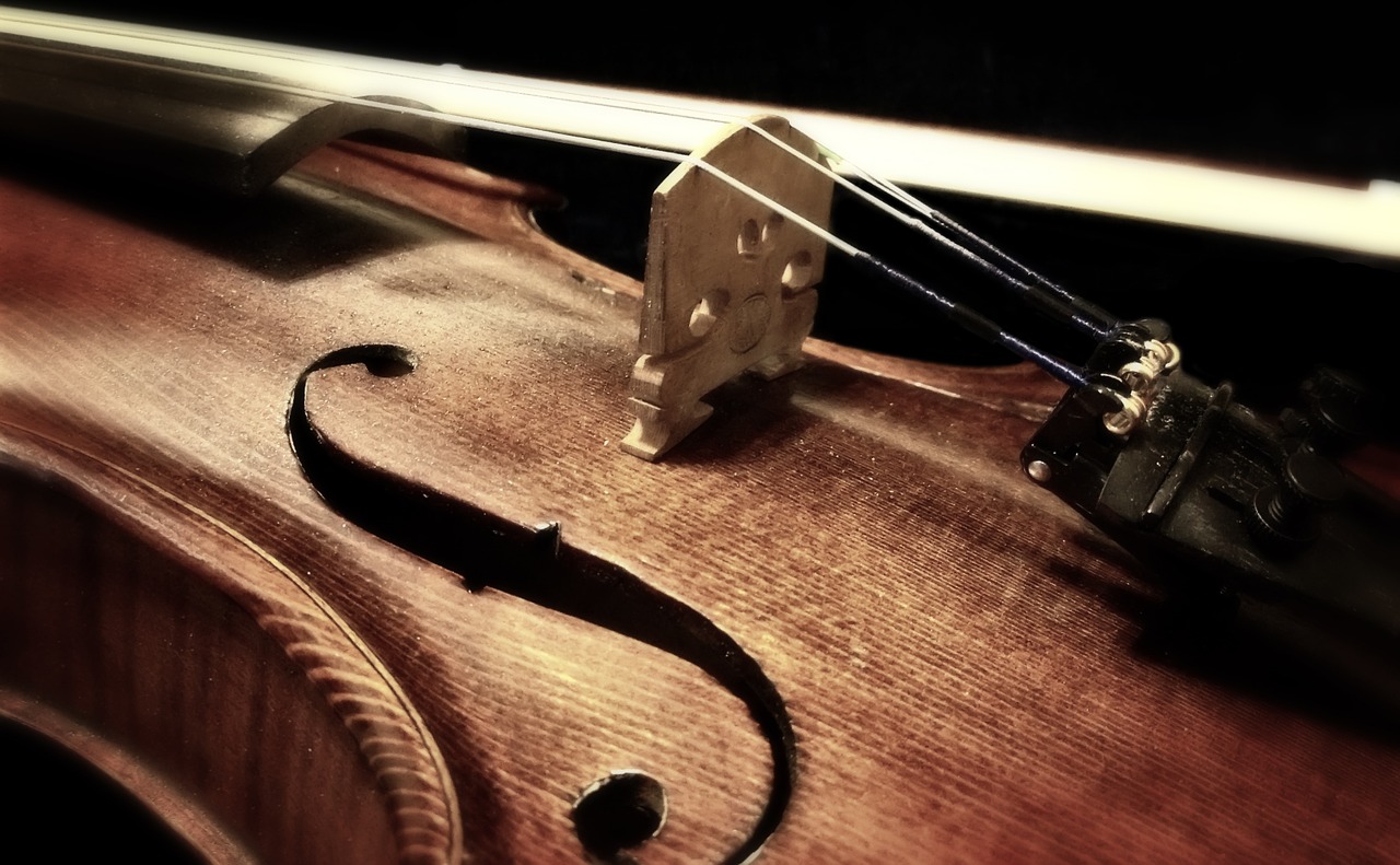 General String Instrument Care and Maintenance