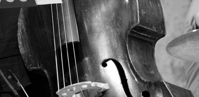 3 Considerations When Recommending Double Bass Repertoire to Young Bassists 